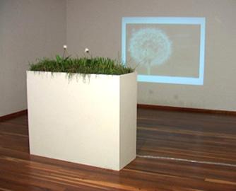 Through the interactive installation the spectator detonates the action of the simple event of blowing a dandelion in not just one place but different places, focusing the attention on a simple and sometimes overlooked event, each time someone blows videos run at random order with  various previously recorded images through Bogot? the city I work in, but with the advantage of landscapes that can be found in every city, showing the chaos of the present phenomenon, the aleatory effects one simple dandelion can cause when someone blows it away and interacts with it .
